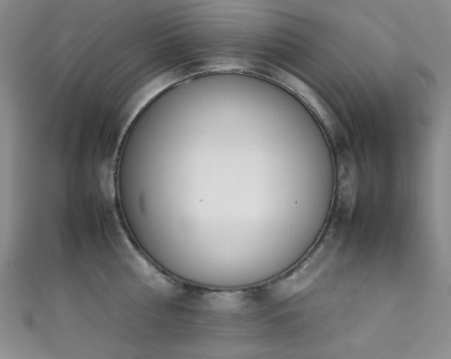 X0000111370810200907101210