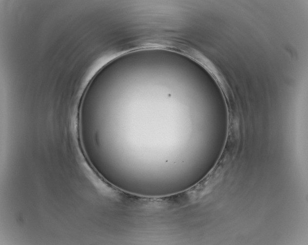 X0000111370811200907101210