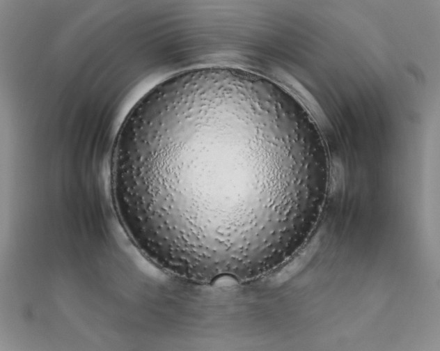 X0000111370812200907101210