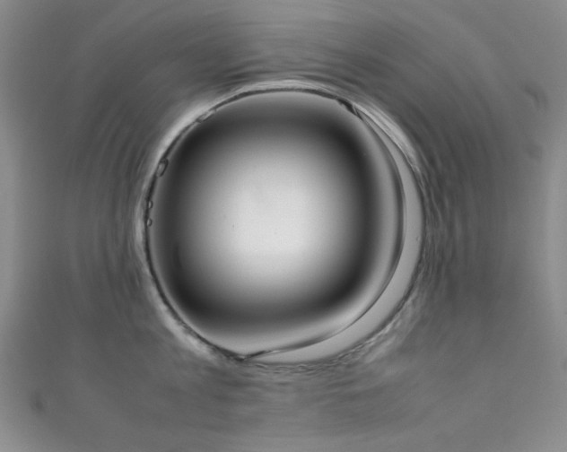 X0000111370813200907101210