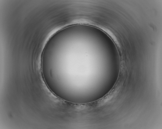 X0000111370815200907101210