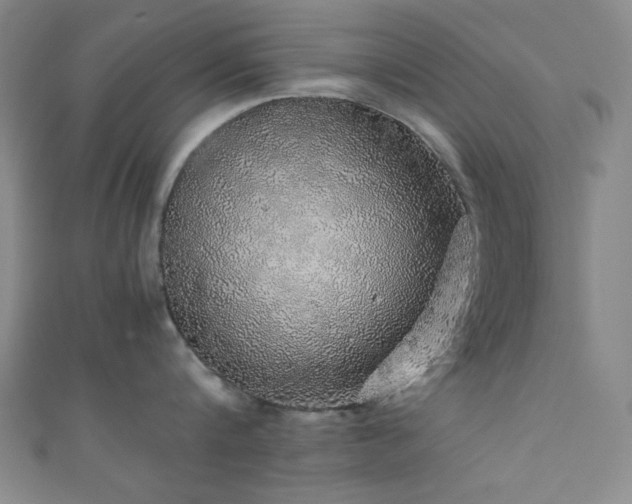 X0000111370816200907101210