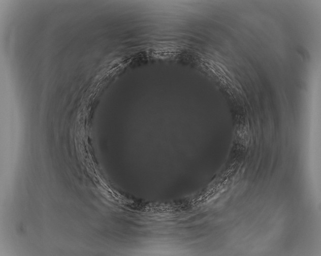 X0000111370817200907101209