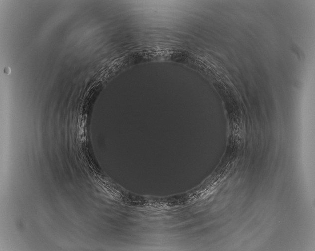 X0000111370818200907101209
