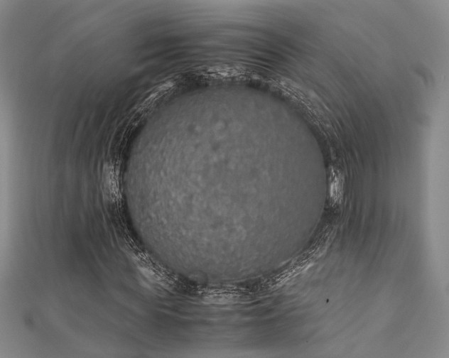 X0000111370819200907101209