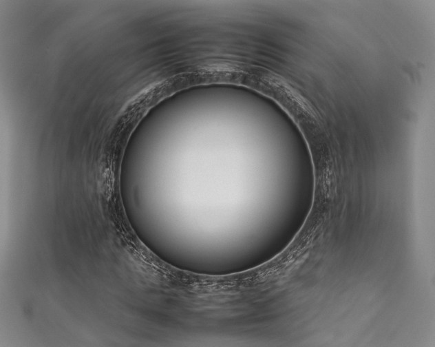 X0000111370821200907101209