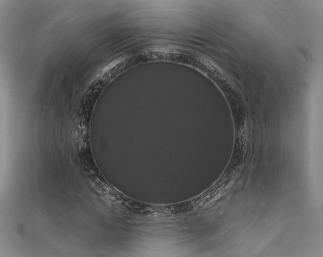 X0000111370822200907101209