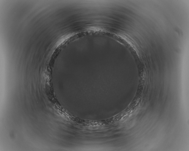 X0000111370823200907101209