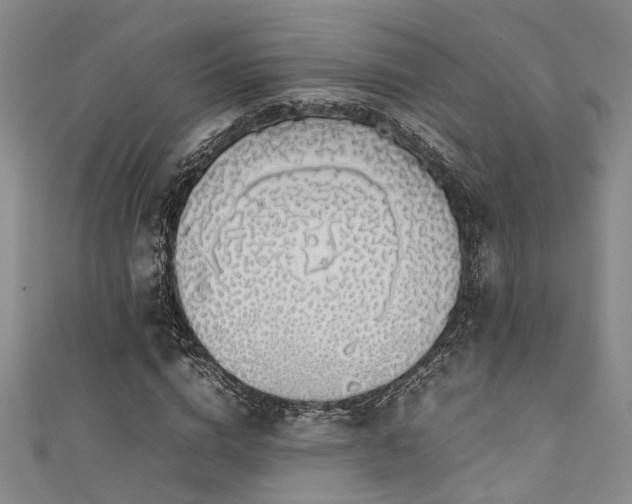 X0000111370824200907101209