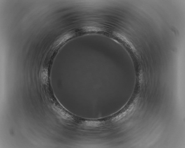 X0000111370825200907101209