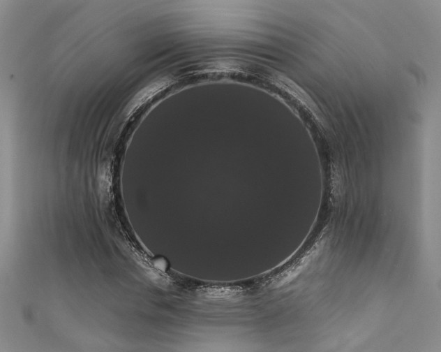 X0000111370826200907101209