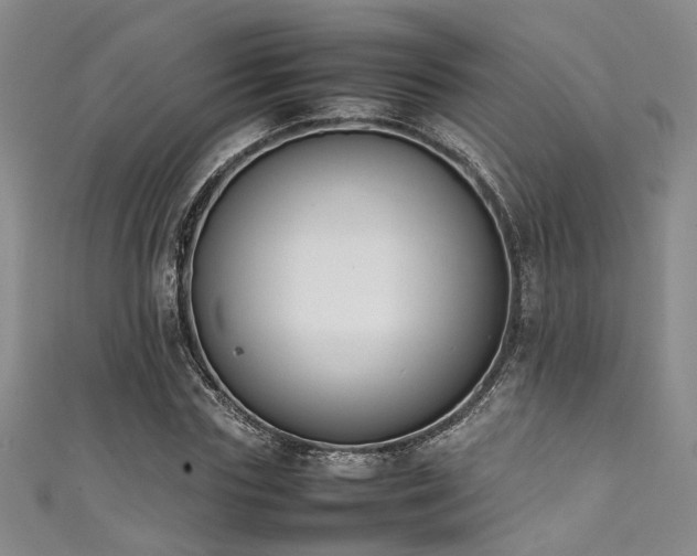 X0000111370827200907101209