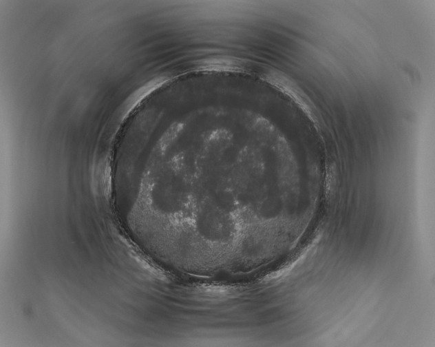 X0000111370829200907101209