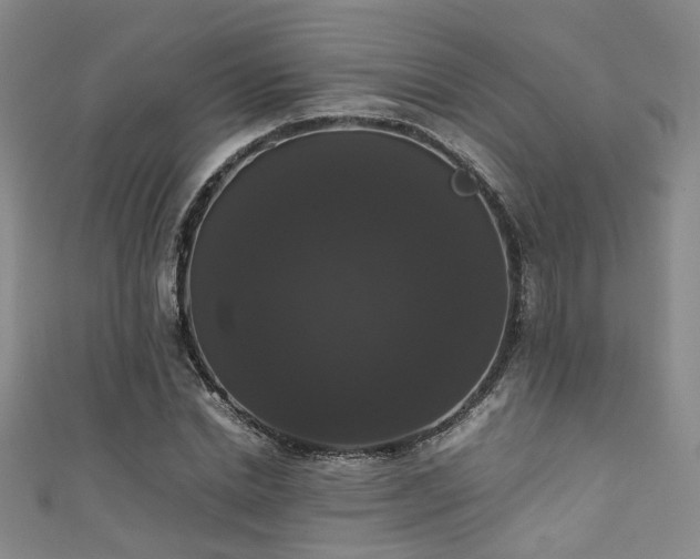 X0000111370830200907101209