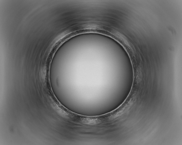 X0000111370831200907101209
