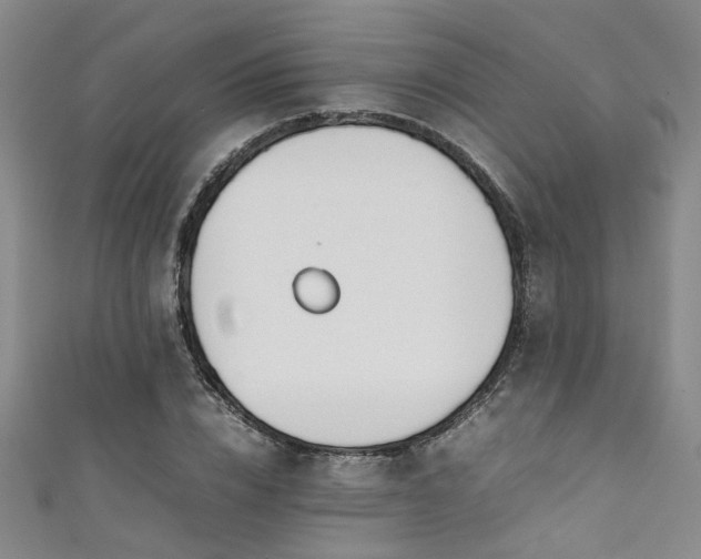 X0000111370832200907101209