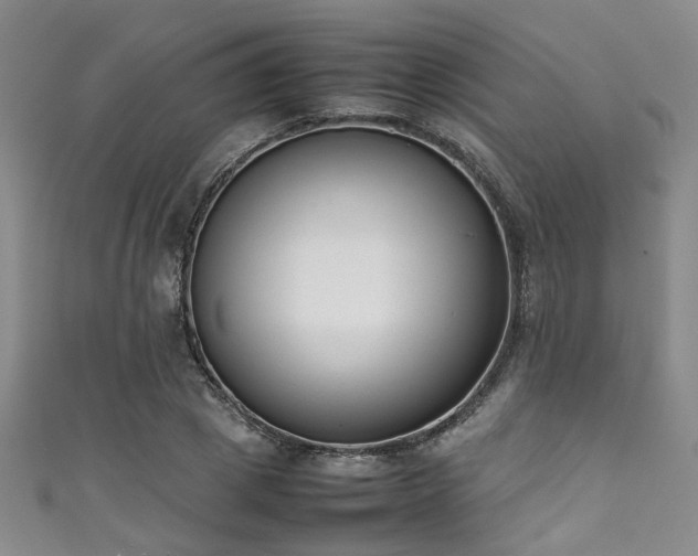 X0000111370833200907101209