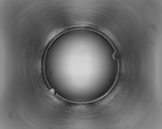 X0000111370834200907101209