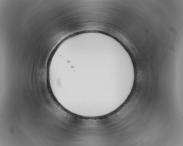X0000111370836200907101209