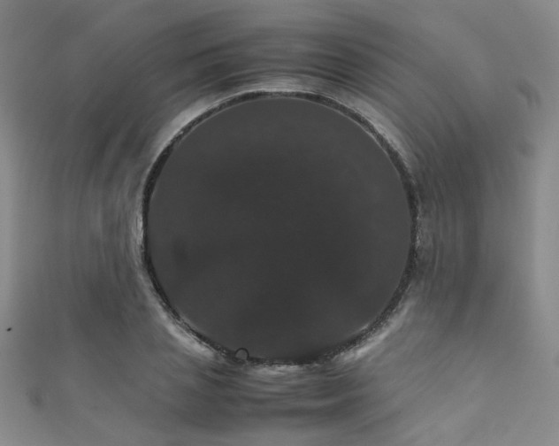 X0000111370837200907101209