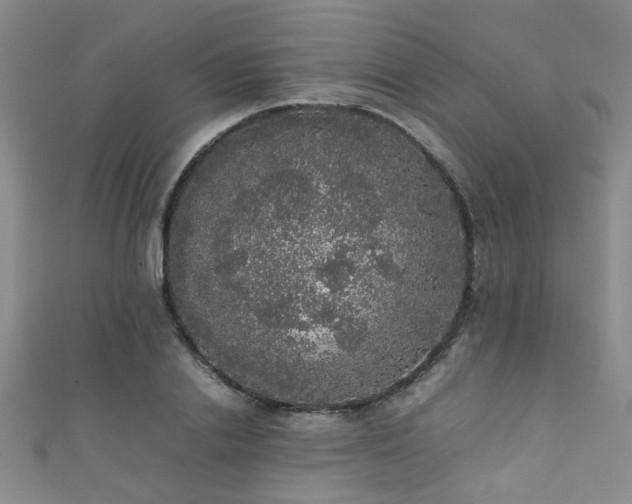 X0000111370838200907101209