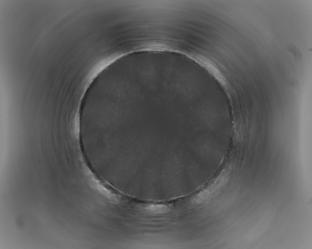 X0000111370839200907101209