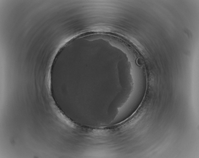 X0000111370840200907101209