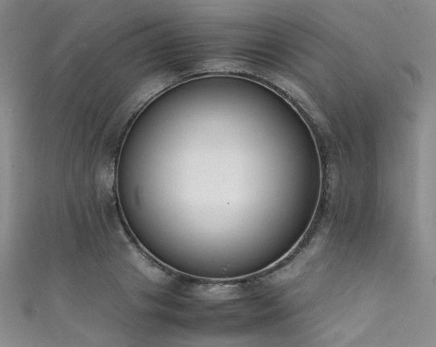X0000111370841200907101209