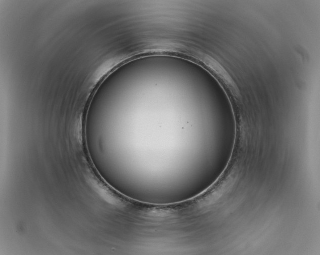 X0000111370842200907101209