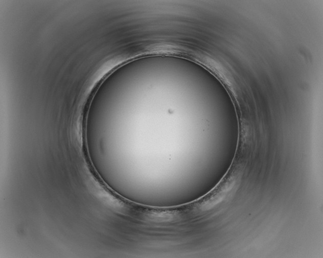 X0000111370843200907101209