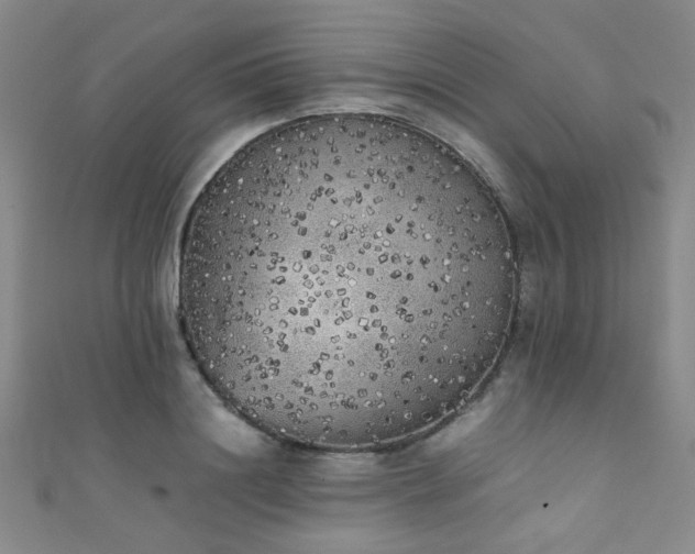 X0000111370844200907101209