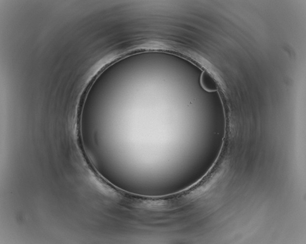 X0000111370845200907101209