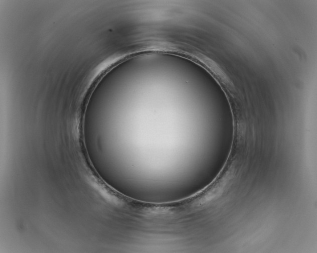 X0000111370846200907101209