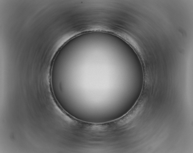 X0000111370847200907101209