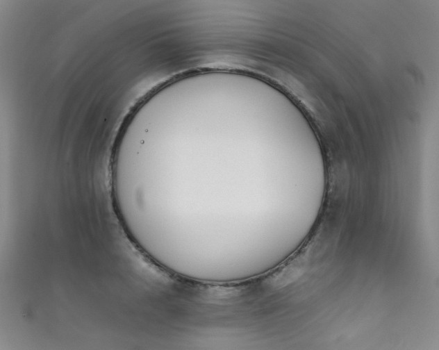 X0000111370848200907101210