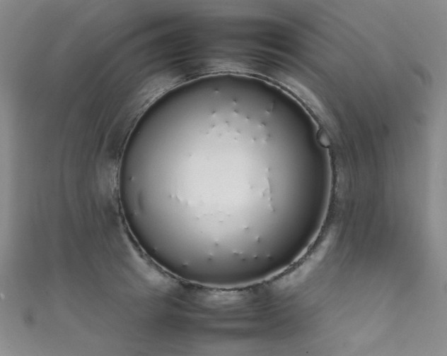 X0000111370849200907101210