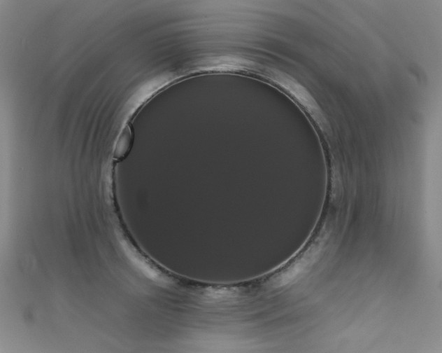 X0000111370850200907101210