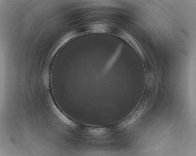 X0000111370851200907101210