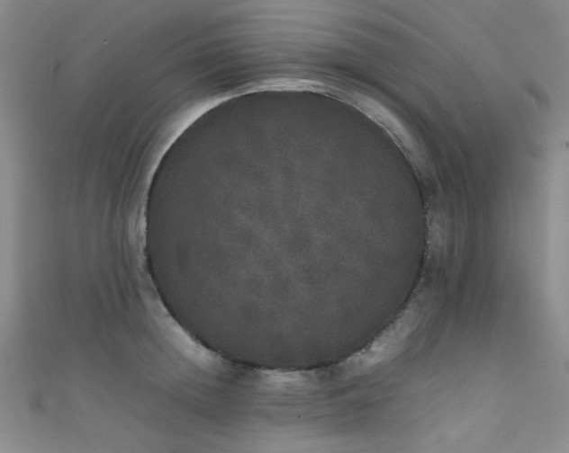 X0000111370852200907101210
