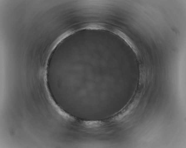 X0000111370853200907101210