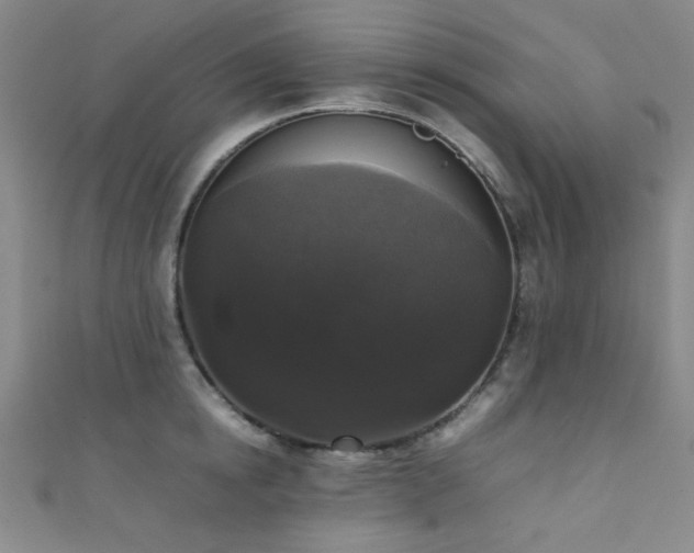 X0000111370854200907101210