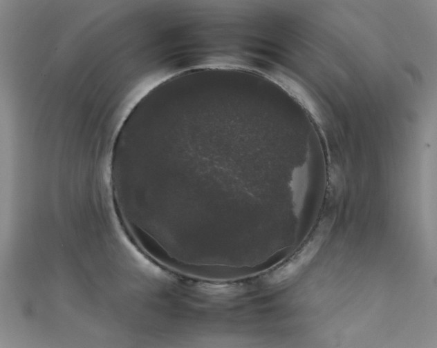 X0000111370855200907101210