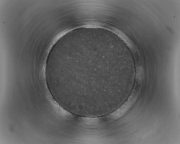 X0000111370856200907101210