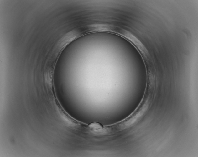 X0000111370857200907101210