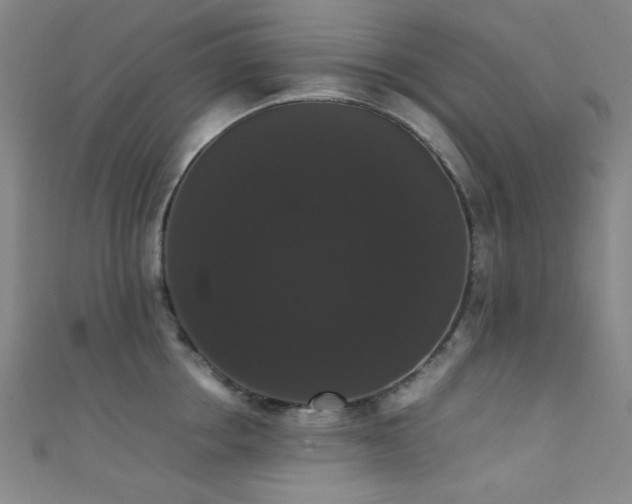 X0000111370858200907101210