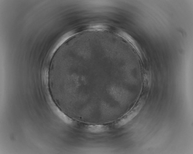 X0000111370859200907101210