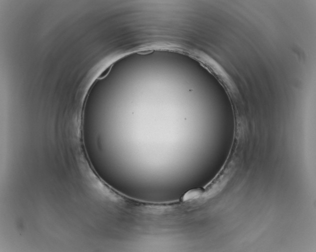 X0000111370860200907101210