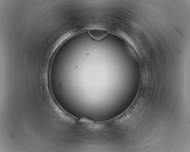 X0000111370861200907101210