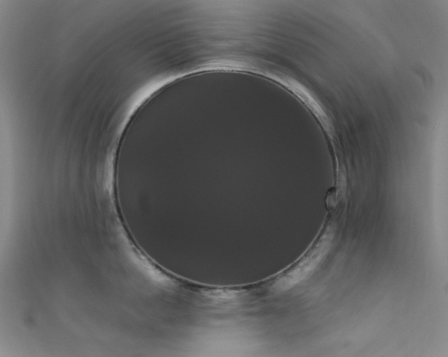 X0000111370862200907101210
