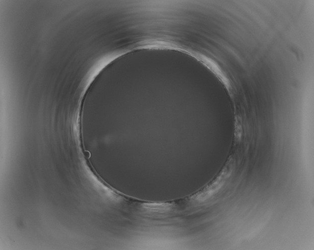 X0000111370863200907101210